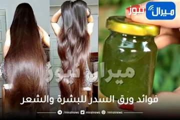 فوائد ورق السدر للبشرة والشعر
