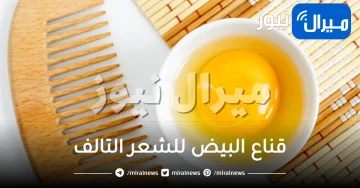 ماسك البيض للشعر التالف