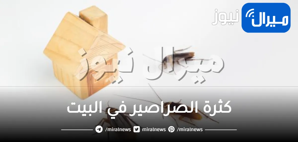 اسباب كثرة الصراصير في البيت
