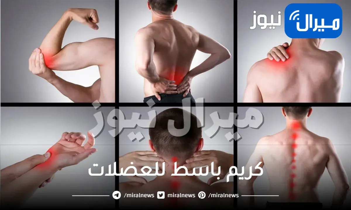 كريم باسط للعضلات