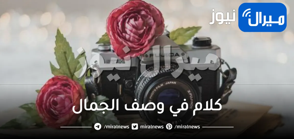 كلام في وصف الجمال