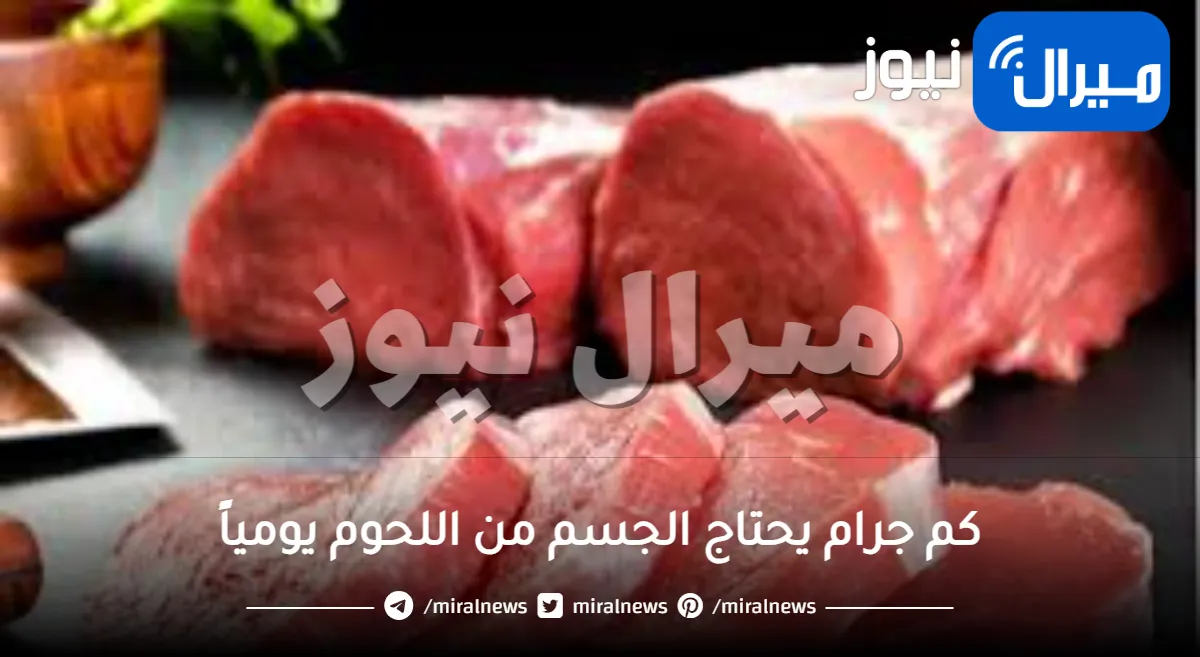 كم جرام يحتاج الجسم من اللحوم يومياً