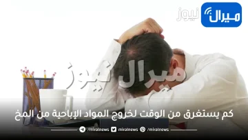 كم يستغرق من الوقت لخروج المواد الإباحية من المخ