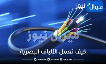 كيف تعمل الألياف البصرية