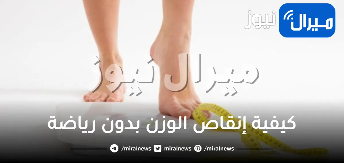 كيفية إنقاص الوزن بدون رياضة