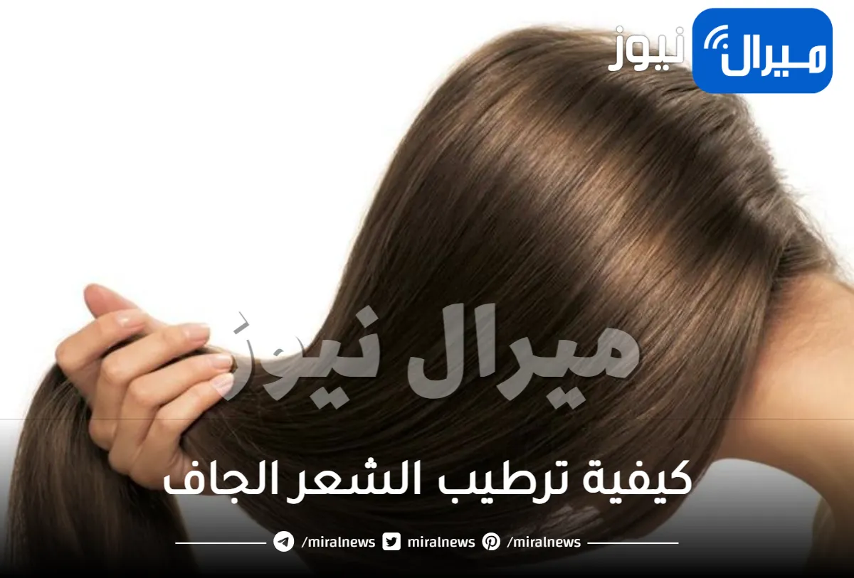 ترطيب الشعر الجاف طبيعيا