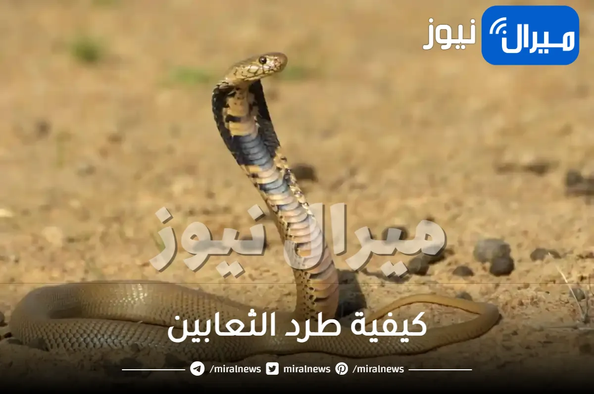 كيفية طرد الثعابين