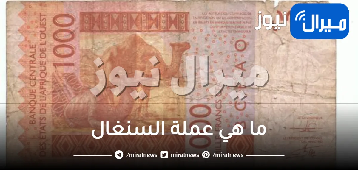 ما هي عملة السنغال