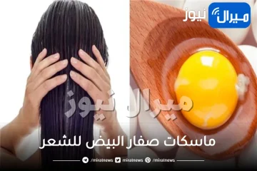 أفضل خلطات صفار البيض للشعر