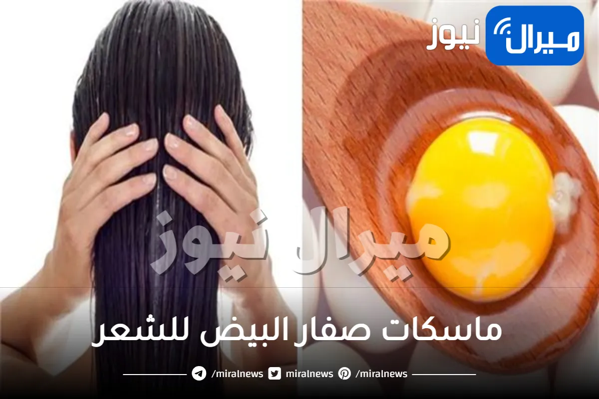 أفضل خلطات صفار البيض للشعر
