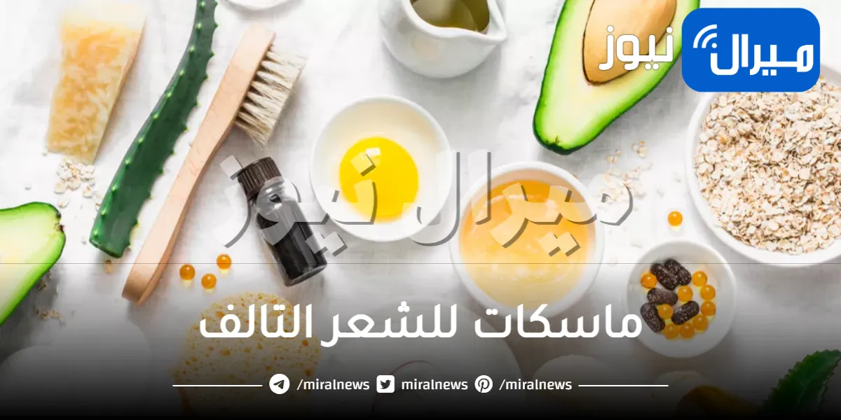 10 ماسكات للشعر التالف