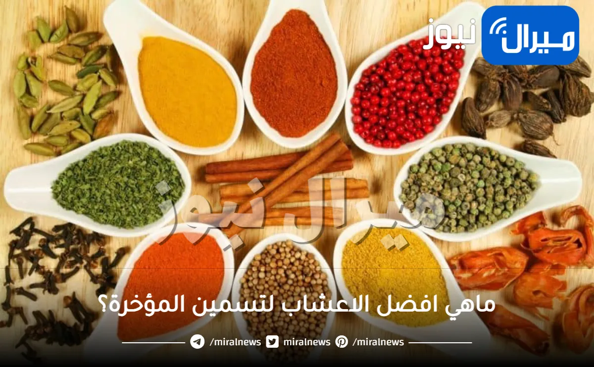 اعشاب تسمين المؤخرة .. 3 أعشاب سحرية