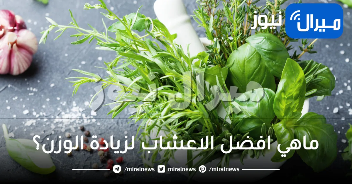 اعشاب لزيادة الوزن في وقت قصير