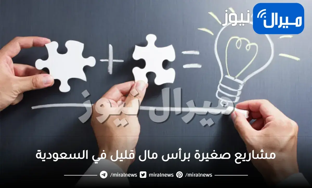 مشاريع صغيرة برأس مال قليل في السعودية