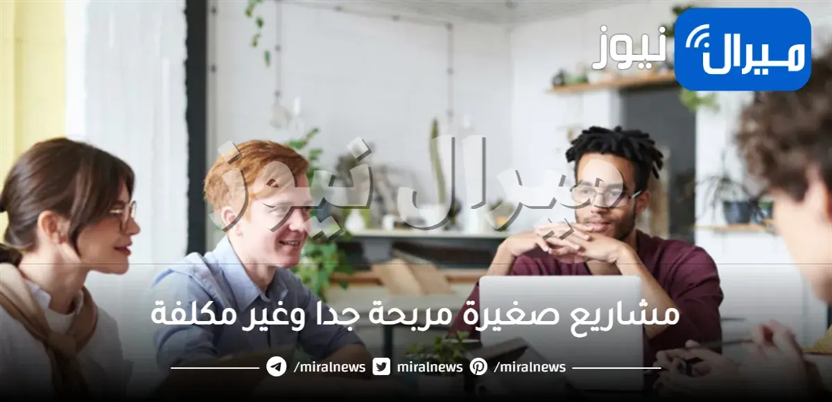 أفكار مشاريع صغيرة مربحة جدا وغير مكلفة