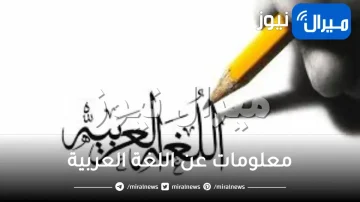 معلومات عن اللغة العربية