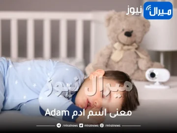 معنى اسم ادم Adam وأهم صفات حامل الاسم الشخصية