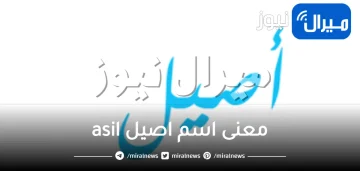 معنى اسم اصيل asil وأبرز الصفات الشخصية لحامل الاسم حسب علم النفس