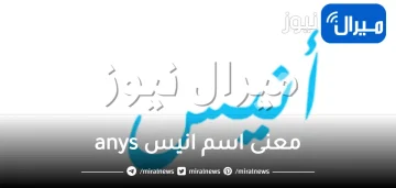 معنى اسم انيس anys وأبرز صفات حاملة الاسم الشخصية