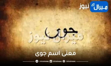 معنى اسم جوى بالإنجليزي وما معناه في اللغة العربية والإسلام