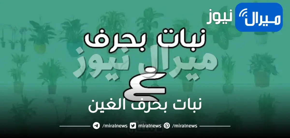 نبات بحرف الغين