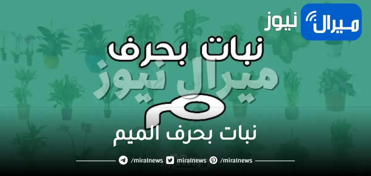 نبات بحرف الميم