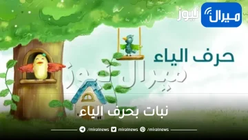 نبات بحرف الياء “ي”