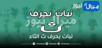 نبات بحرف ث الثاء