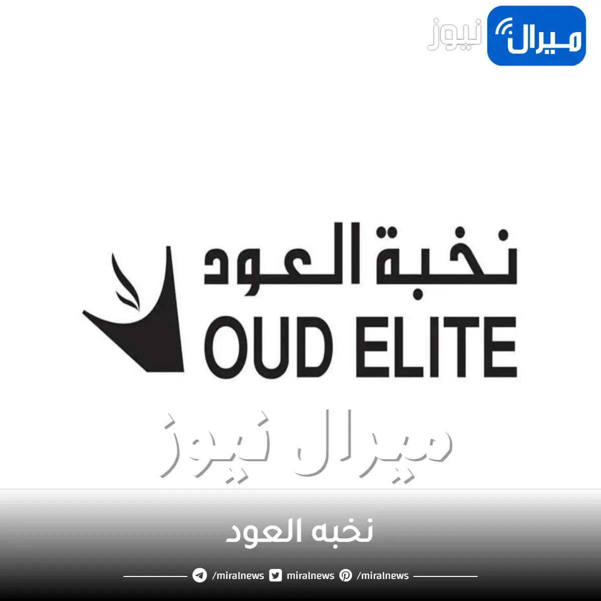 نخبه العود
