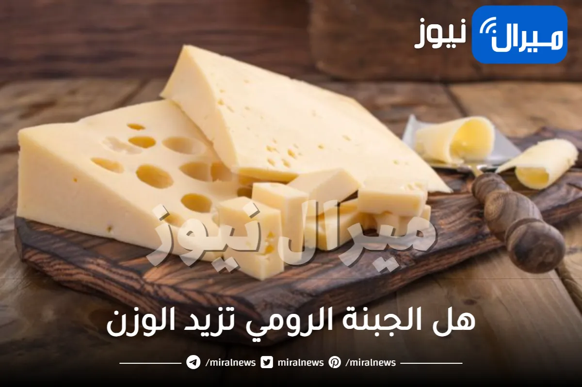 هل الجبنة الرومي تزيد الوزن و ما هي حقيقة اضرار الجبنة الرومى وفوائدها