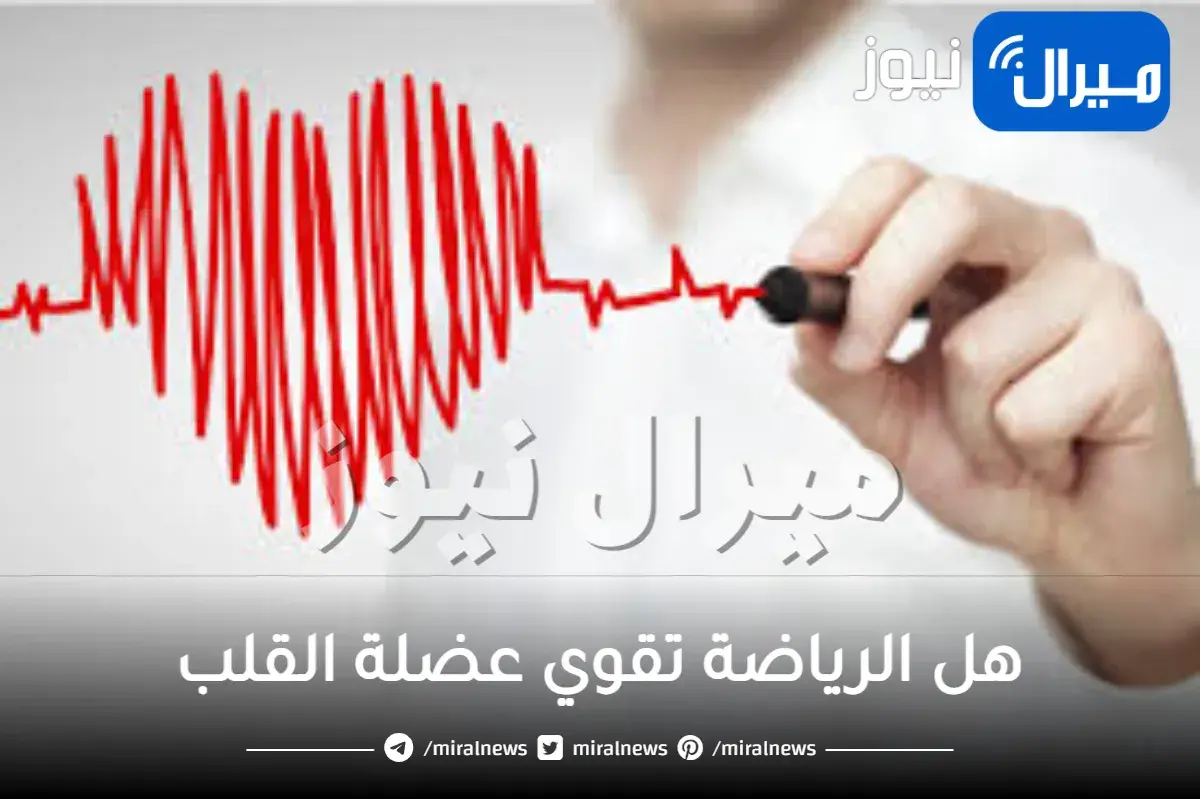 هل الرياضة تقوي عضلة القلب