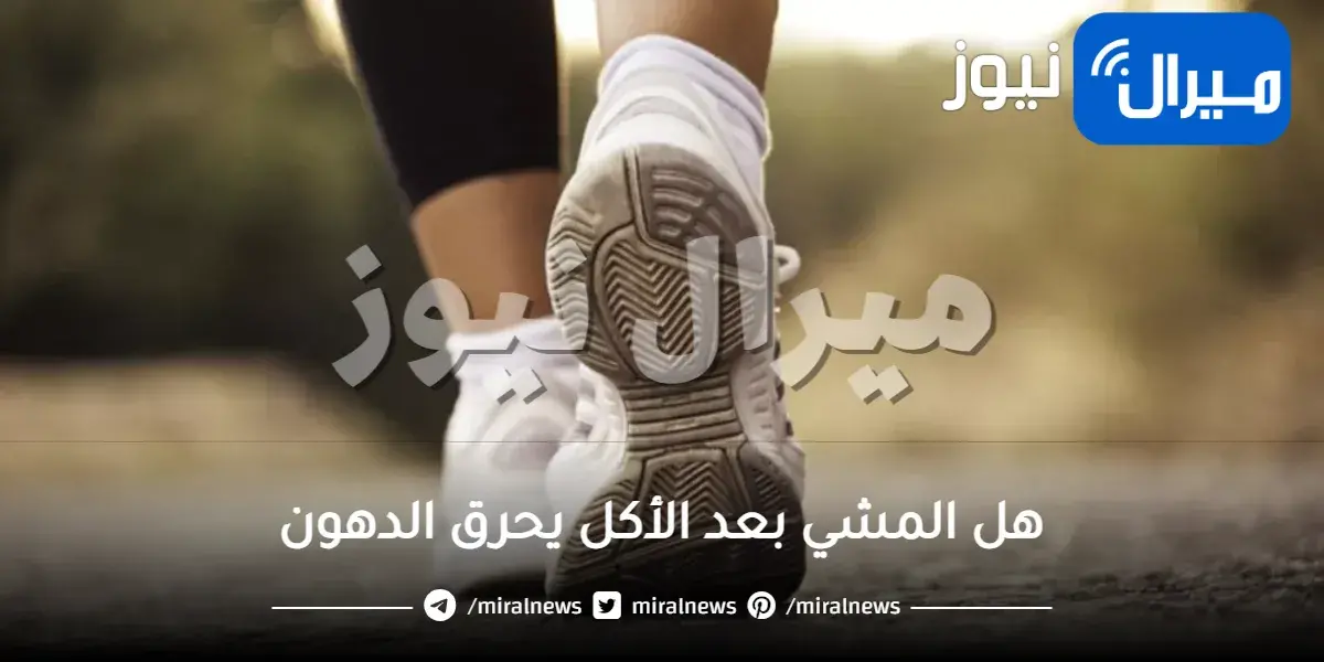 هل المشي بعد الأكل يحرق الدهون