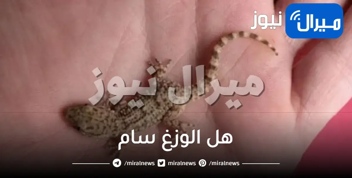 هل الوزغ سام