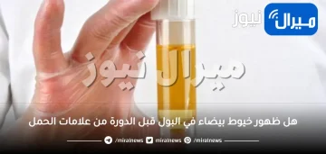 هل ظهور خيوط بيضاء في البول قبل الدورة تدل على حدوث حمل وأهم علامات الحمل تعرفي إليها