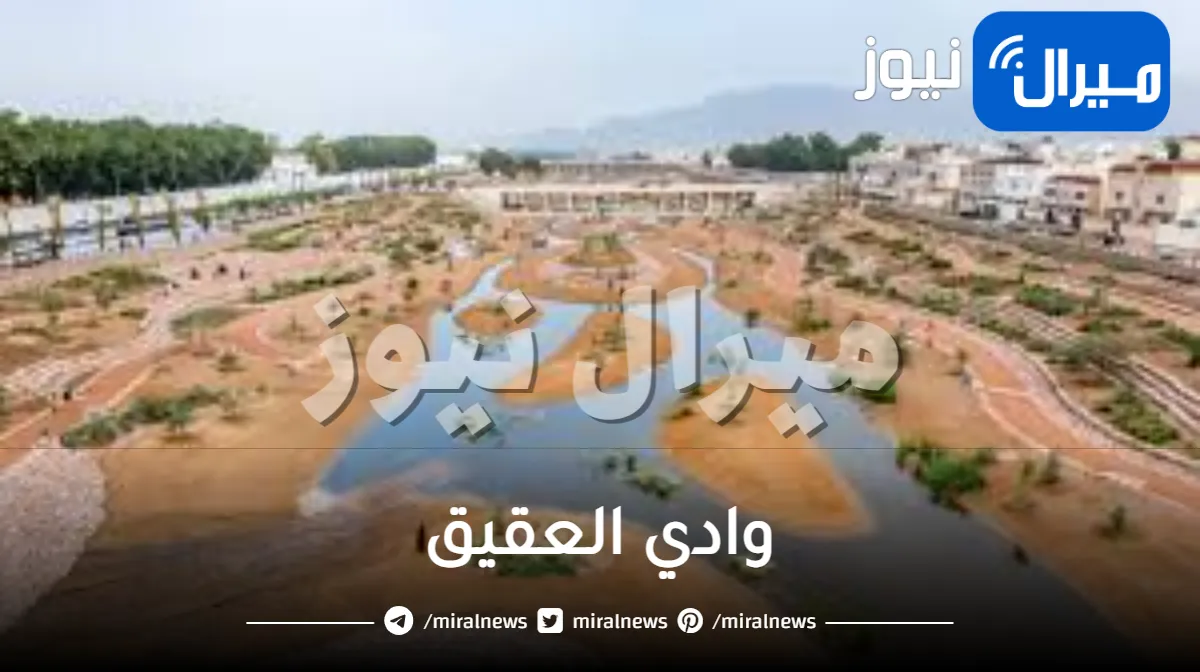 وادي العقيق