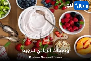 وصفات الزبادي الشهية .. وكيفية تحضير وصفات الزبادي للرجيم كالمحترفين