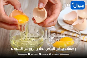 وصفات بياض البيض لعلاج الرؤوس السوداء