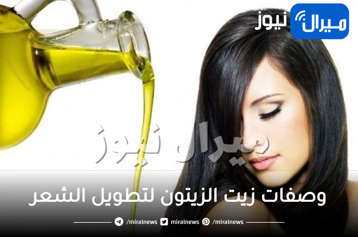 وصفات زيت الزيتون لتطويل الشعر