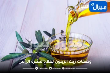 وصفات زيت الزيتون لعلاج قشرة الرأس