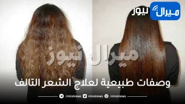 وصفات طبيعية لعلاج الشعر التالف