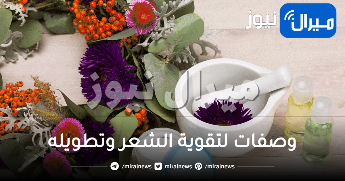 وصفات لتقوية الشعر وتطويله
