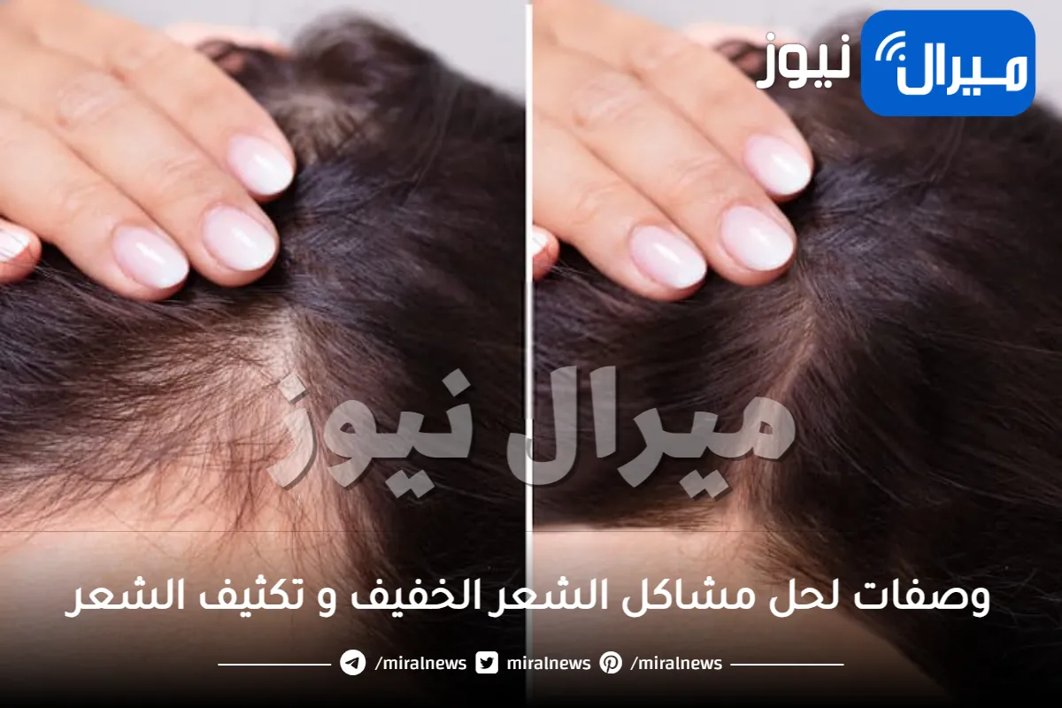 أفضل 5 وصفات لتكثيف الشعر وعلاج الشعر الخفيف