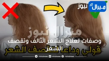 أسرع 5 وصفات لعلاج الشعر التالف وتقصف الشعر