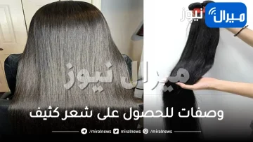 أفضل 7 وصفات للحصول على شعر كثيف