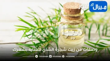 10 وصفات من زيت شجرة الشاي للعنايه بشعرك
