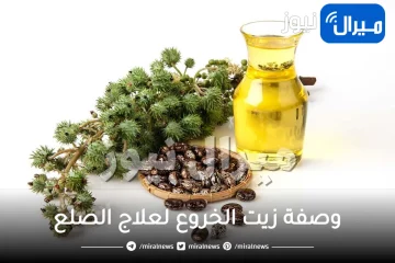 10 وصفة من زيت الخروع لعلاج الصلع