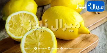 10 طرق لاستخدام الليمون في منزلك