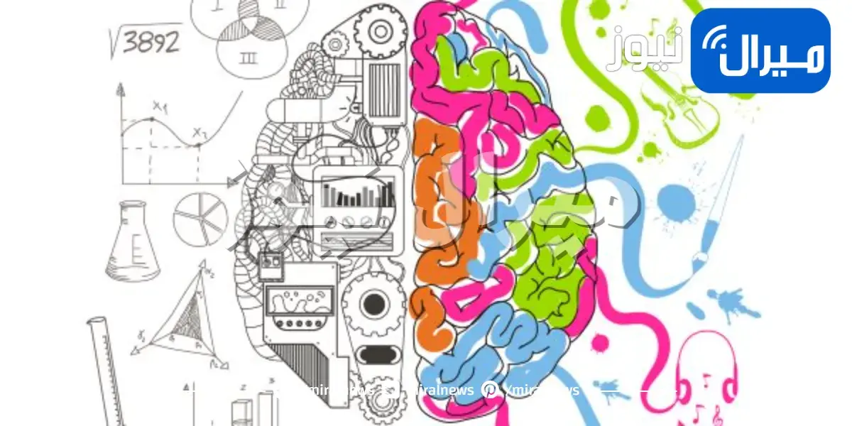 10 نصائح لتنشيط الذاكرة والعقل