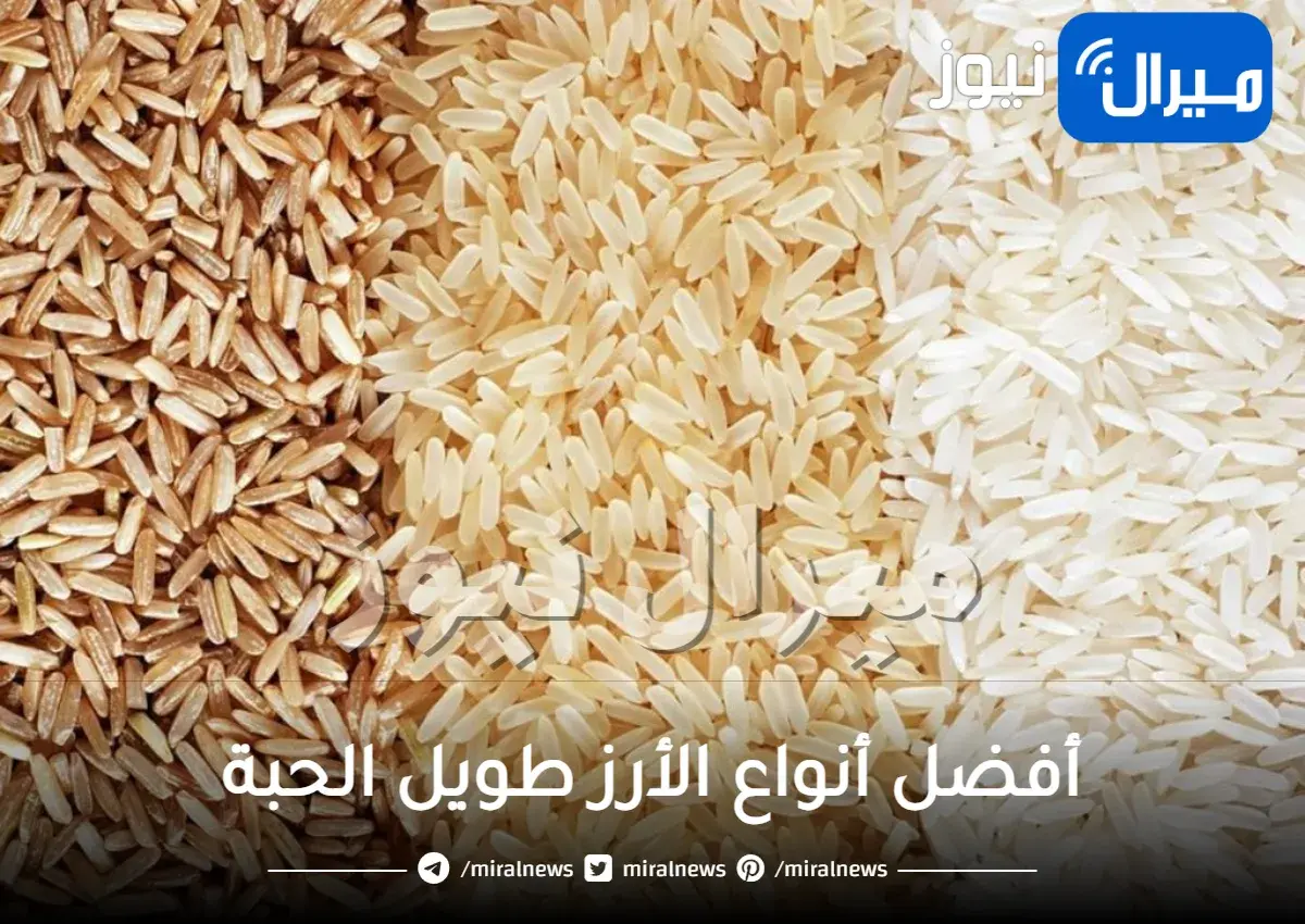 أفضل أنواع الأرز طويل الحبة