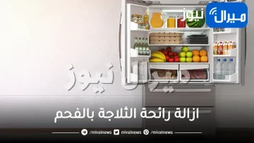 ازالة رائحة الثلاجة بالفحم